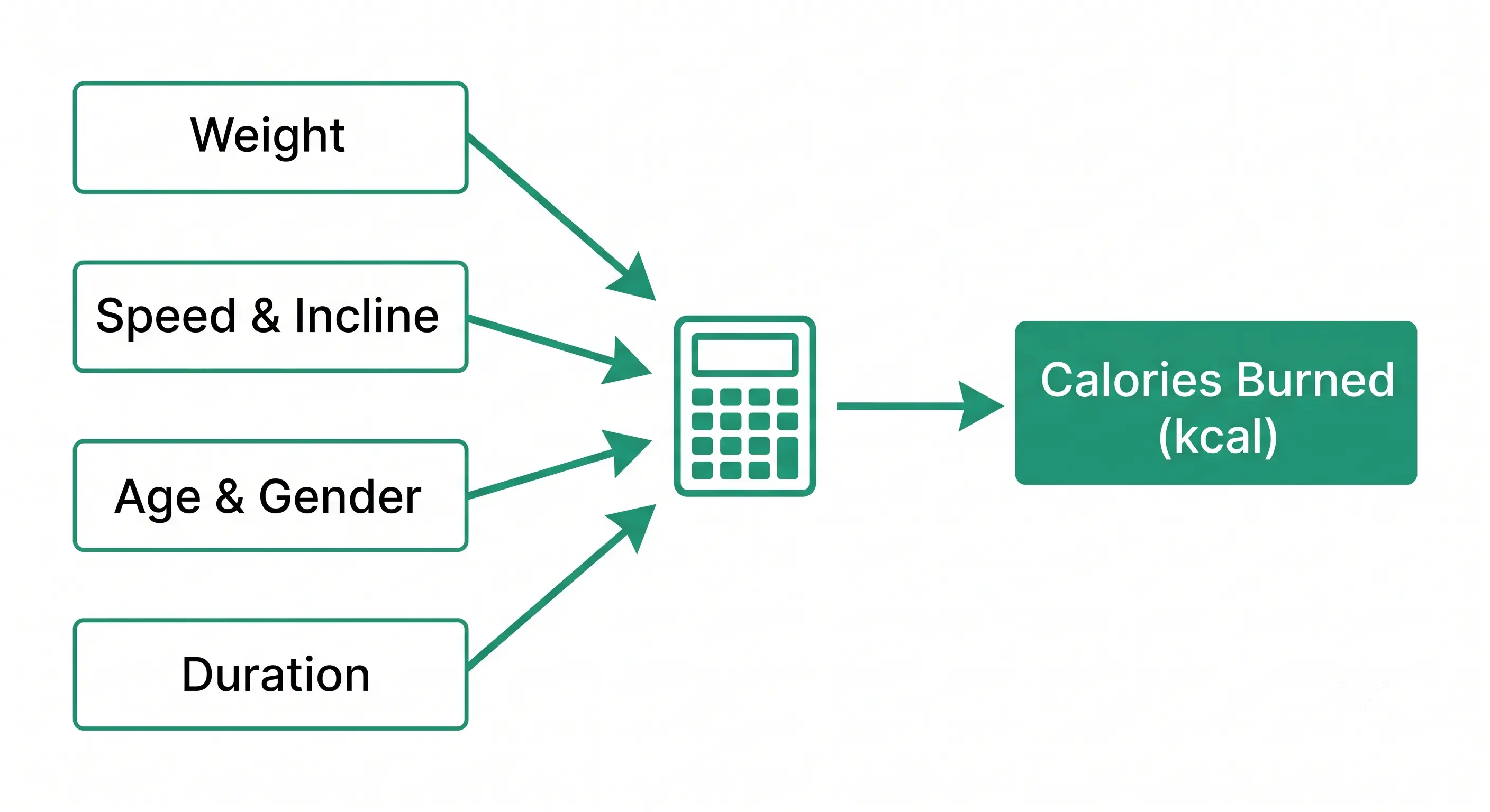 Infographic showing treadmill input variables — weight, speed, incline, and duration — and how they combine to produce a calorie burn estimate